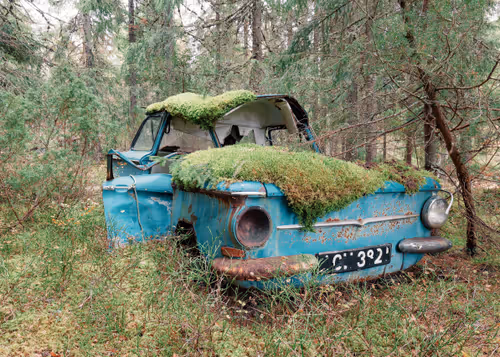 Item #48137969834760964202008615445069010109172114455099533143483873201529479495681 Media