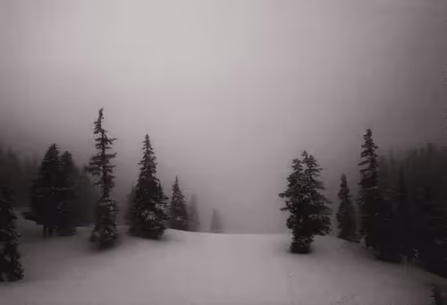 Vlizzyjpeg Collection - old