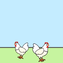 Digital Chicken Fyn & Wyn