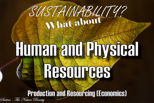 Item #93613396688638017464317025240290185264434684879039933742438228978379480104961 Media