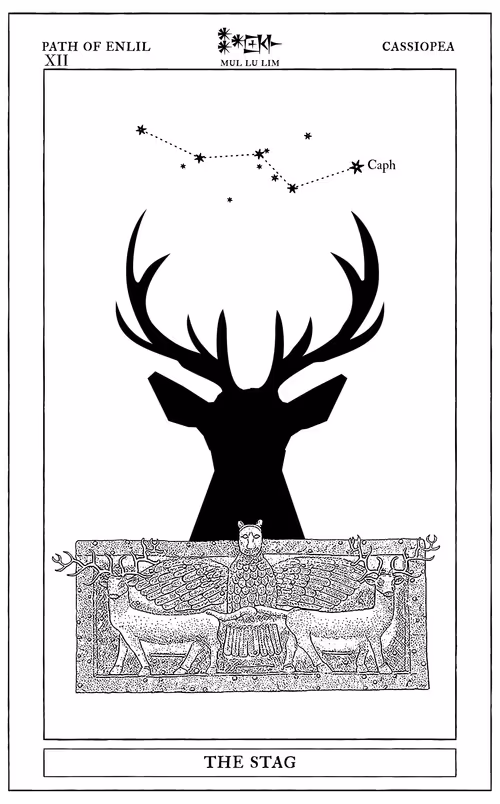 Item #72428202001668189821112342847260883540127111684781981942259052878339061579777 Media