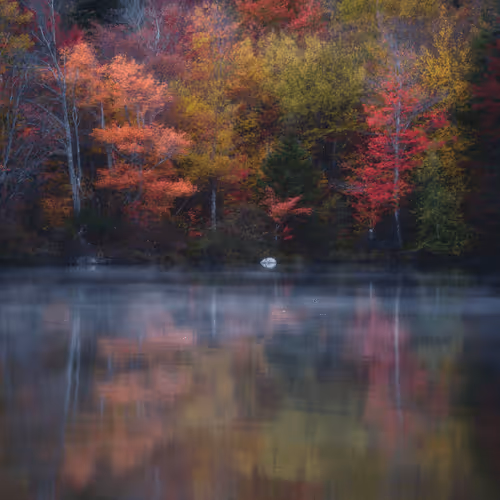 Colourful Landscapes