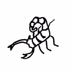 Scorpion 