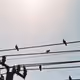90453020933646508783358326442065894249328383388805648472985980539978880385025
