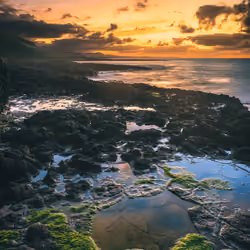 SEASCAPE 09