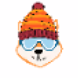Snow Shib