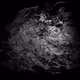 Dead Constellations: Visions from Nowhere