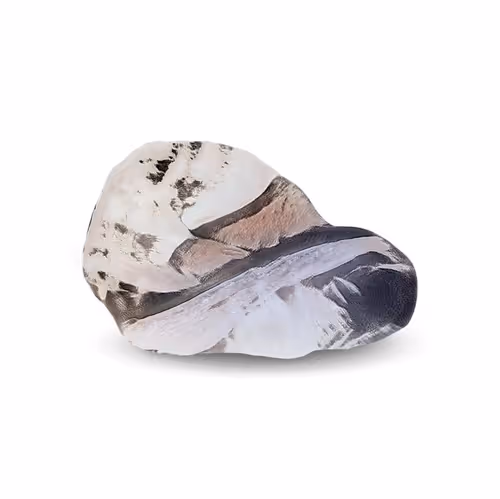 Item #52517746455901814958898160183103944313181907227358248103725221524402488737793 Media