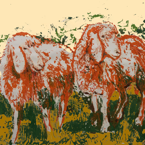 Dollies NFTs collection