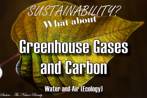 Item #93613396688638017464317025240290185264434684879039933742438228937697549877249 Media