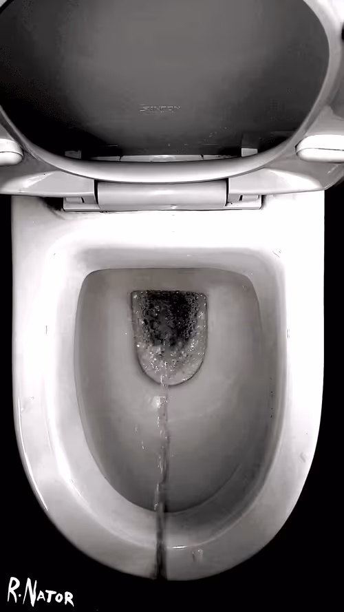 Item #12660136923828748263426703316480839463053827608546839420335324502299435335681 Media