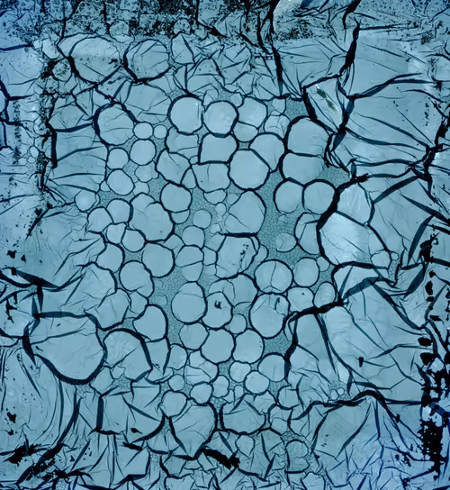 Item #111011725726495855372299514845268257360181815302247514251443823681257963782145 Media