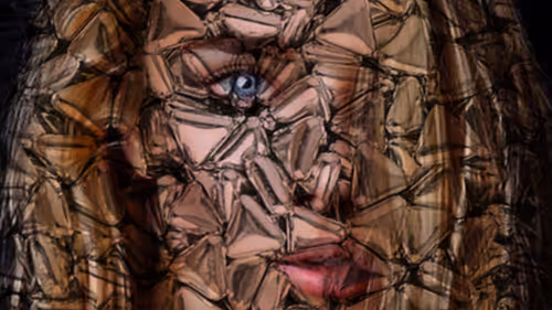 Item #36485824513700346925635491140101516969102708701637270493589643503971197779969 Media