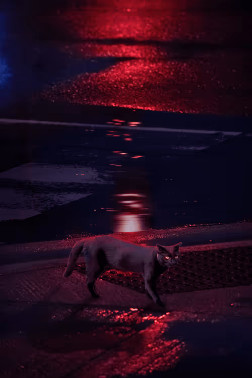 Item #5182845994633767222393120037039485330004144313402015387910417457534415667250 Media