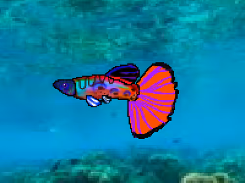 Item #103660596945549690149969121575235901622056825308983816077636299991066683113473 Media