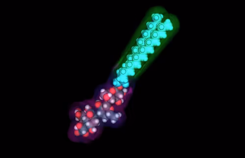 Item #70691296673147545588645983106347604860014430771481084920996057747850505748481 Media