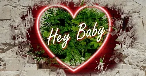 Item #68053287575525751288269231675427811746861684968250582901590729415511764893697 Media