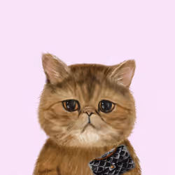 63588752515642770477067191287288803913526852218898202821012584558345502851073