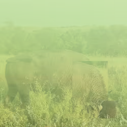 105089968166921690156624725616502706642431777719922472152070405777737872572417