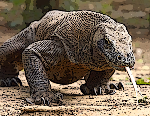 Item #95619151568614802974454947629602672965769746893472874508208249364811471650817 Media