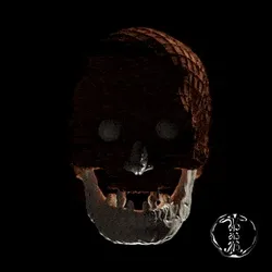 Skull Collector #245