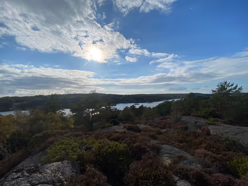 Item #34786585762302583369667834822932763663290229124647368230861745013072592896001 Media