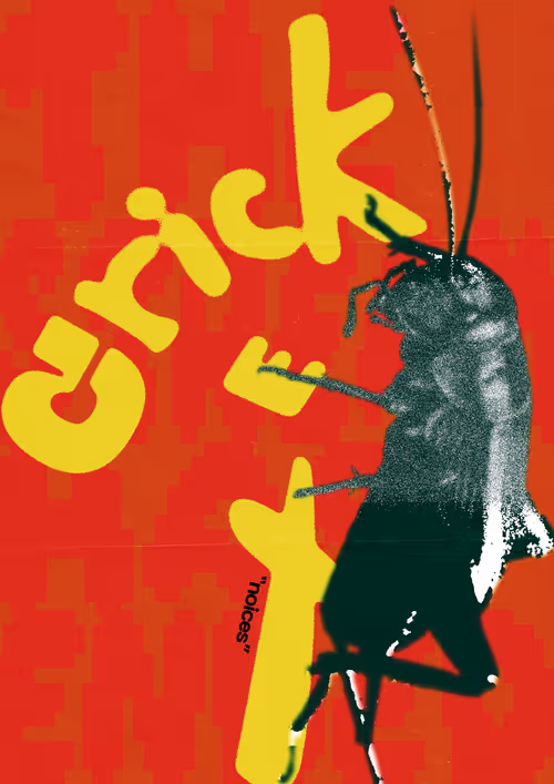 Item #16720104297867754325395407521295946635330835703095664187176638260984588271617 Media