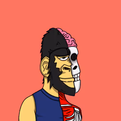 92550217336242294378214336674384792029477121591621680590328886825415339933697