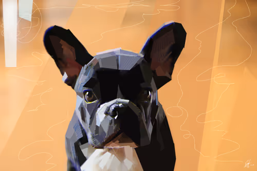 Item #56669498029202450346916797523249832166720531002368278834248555984726505029633 Media