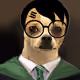 14979902399443104664204166341598272567313800802694280279568744177564968288257