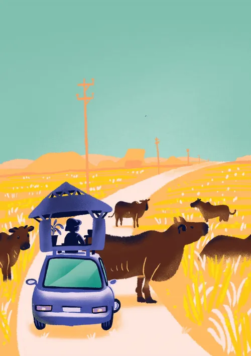 Item #79988291487743210090192360769580443976950915760010674796259413361870961115137 Media