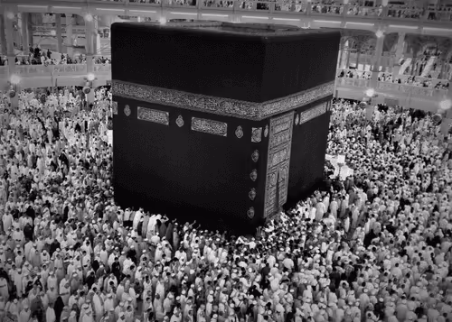 Editions by Sams_Photography