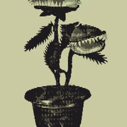 Carniv Plant #9