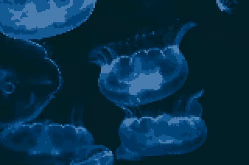 Bubble
