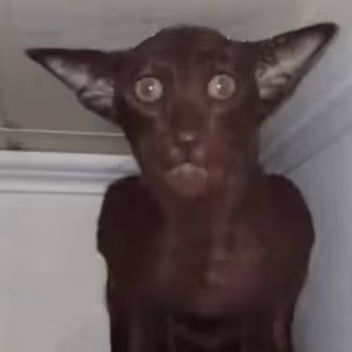 Untitled Collection #256899828