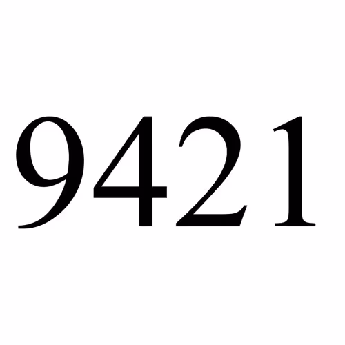 Item #47447056619619468230863232985145008198262083860115706235361675295604978221057 Media