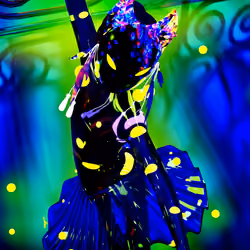Megyn Pettry | Caged Star Spirit - Edition 7
