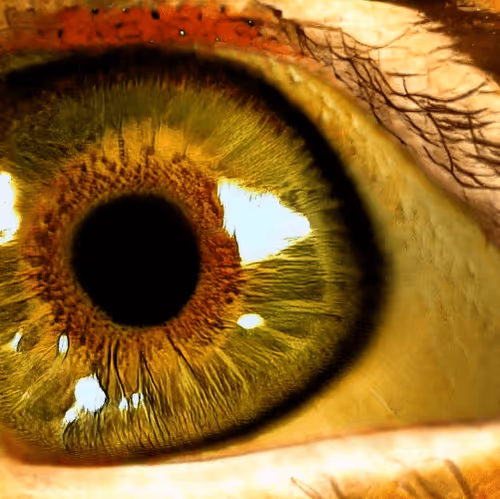 Item #73500473601639277492783536232978387069951164458626547516930003810255963684865 Media