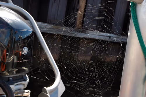 Item #77583281568737235436217946850455306889185240163730885588302184161408576389121 Media