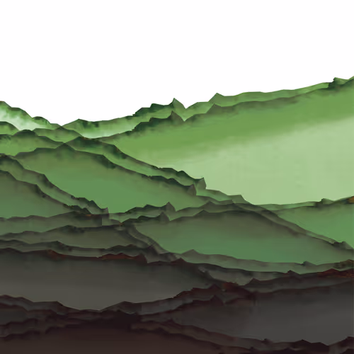 Bunya_studio Collection