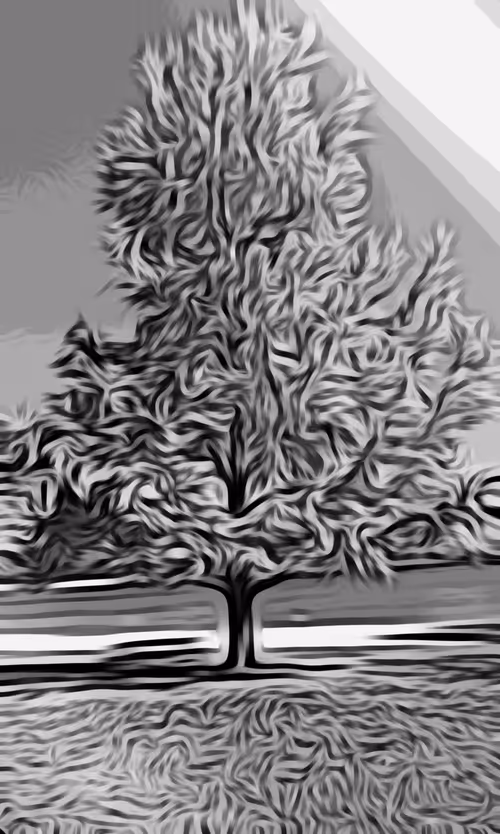 Item #58187110691522992295921100440099975035028125938880026507621860015329387741185 Media