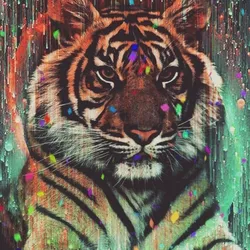Tiger - Art