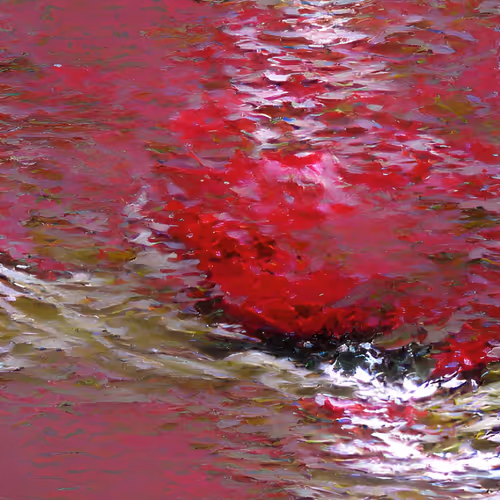 Moby Dick Visualized