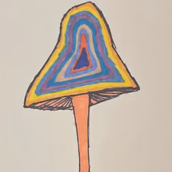 Not a tree #5