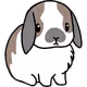 28808798658059001662556047995951317528976405832453645718622611452614181650433