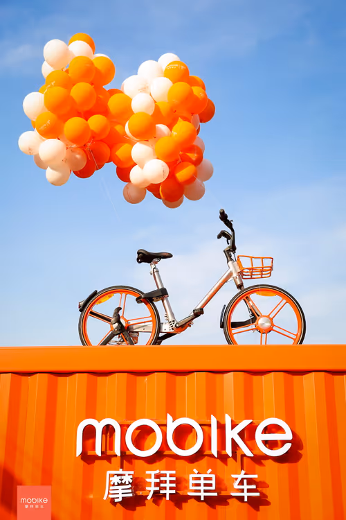 Item #21959967969712135165528647313744503918322719332084178647329757728237091291137 Media