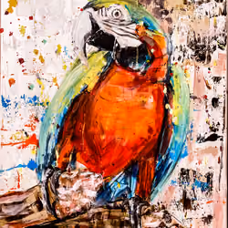 Mr. Colorful Parrot