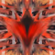 79971308870333123882251124414123028047581332546894178073511139751946935599105