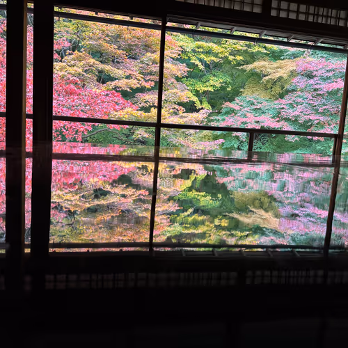 SHOTANOGUCHI Collection