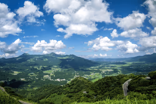 Item #20204709267348757771630976275422763680184380417217004683909412290387328892929 Media